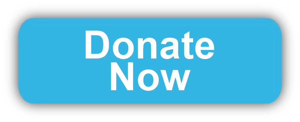 Donate now button