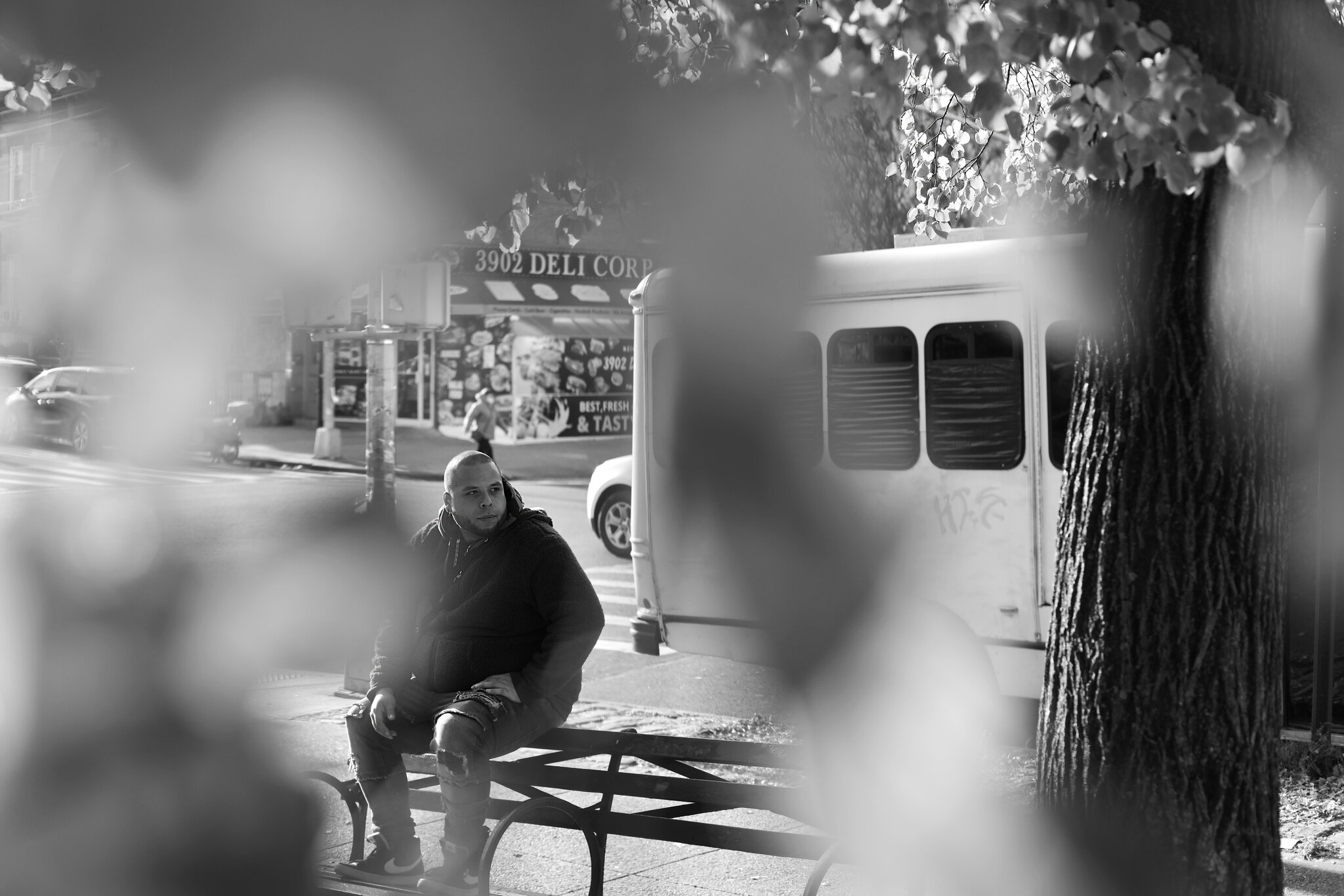 Man sitting on a bench next to a tree