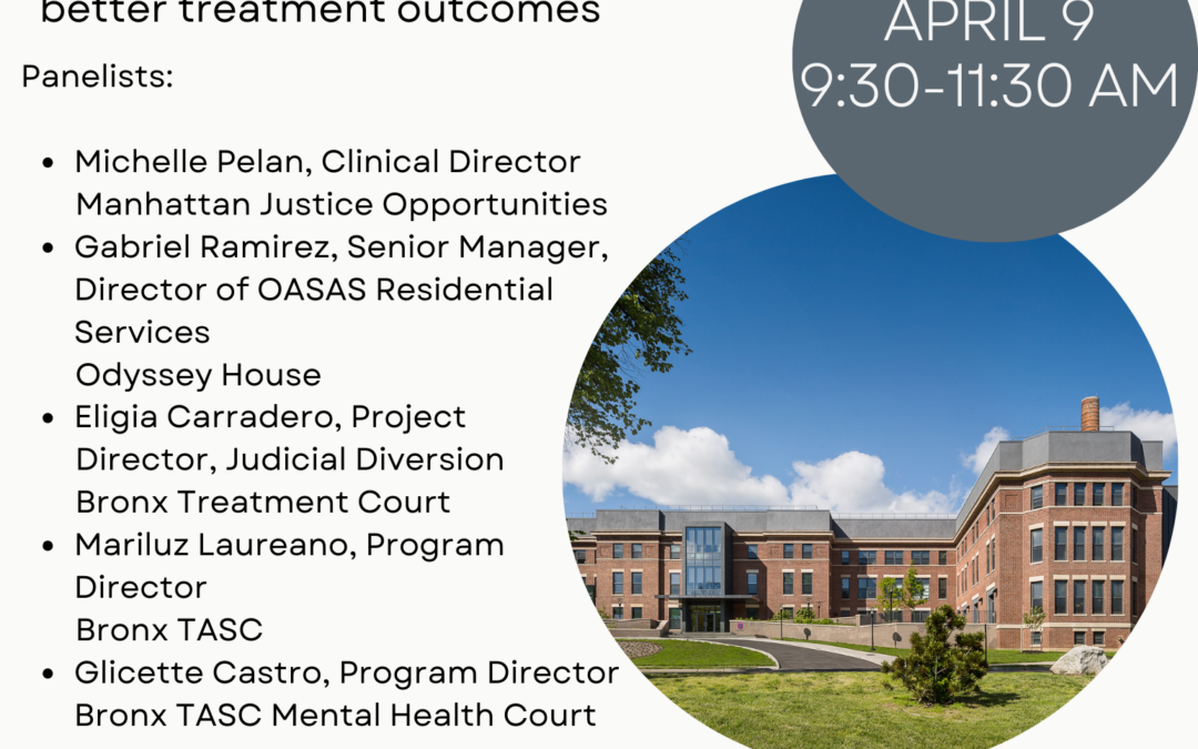 Flyer for panel discussion about problem-solving courts