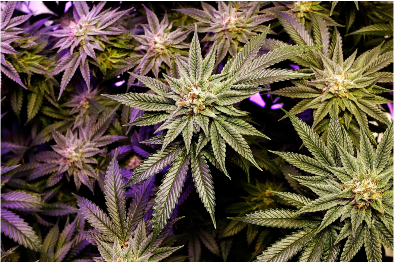 Robert F. Bukaty/Associated Press